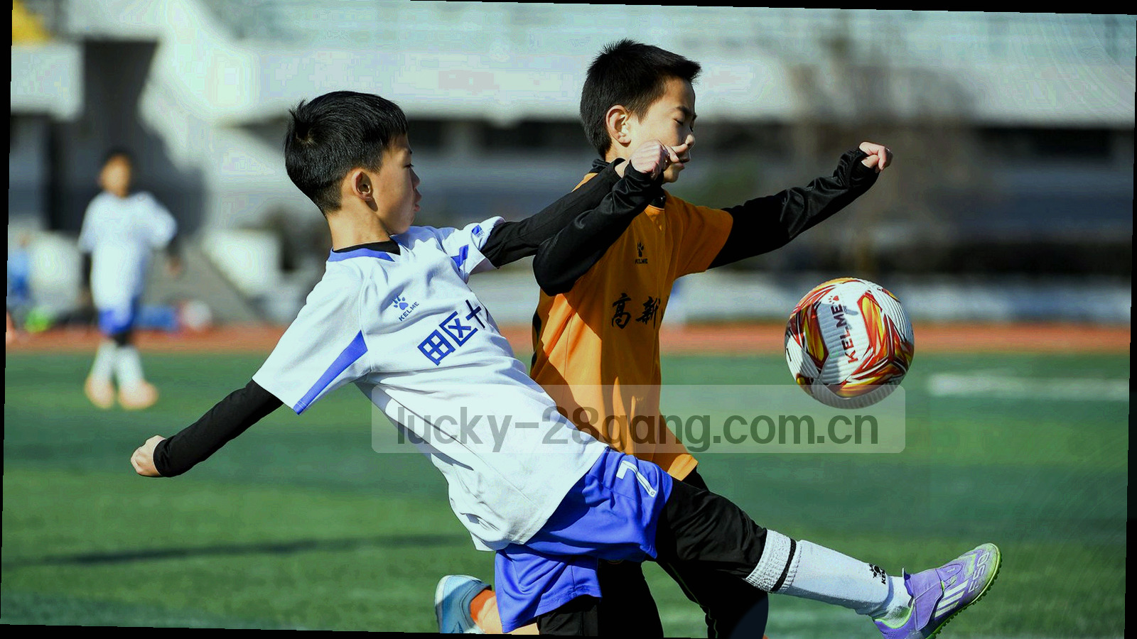 四个等距风格的图标方块，分别指代查询、收藏、目录与追踪，深墨绿底暖金描边